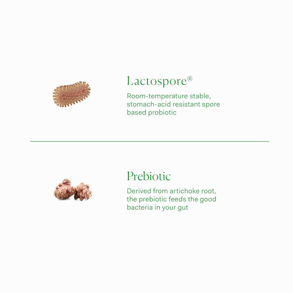 Pre + Probiotic Capsules