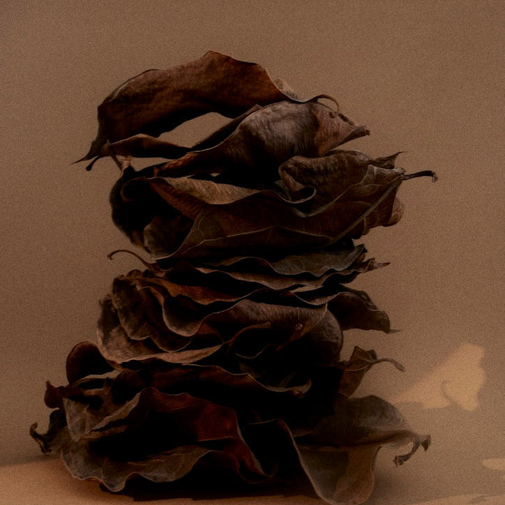 1917 From Soil to Form Oil Diffuser