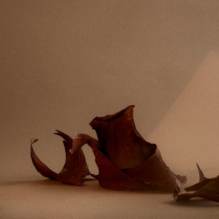 1917 Sphere Oil Diffuser