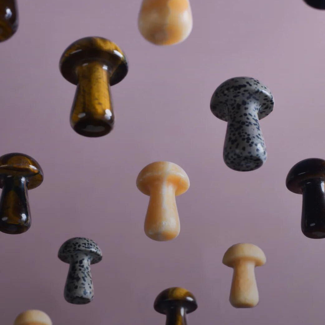 Gua Shroom - Dalmatian