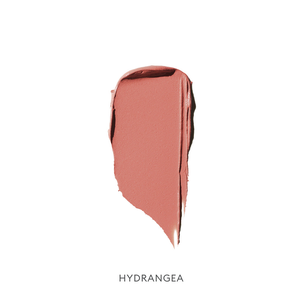 hydrangea |