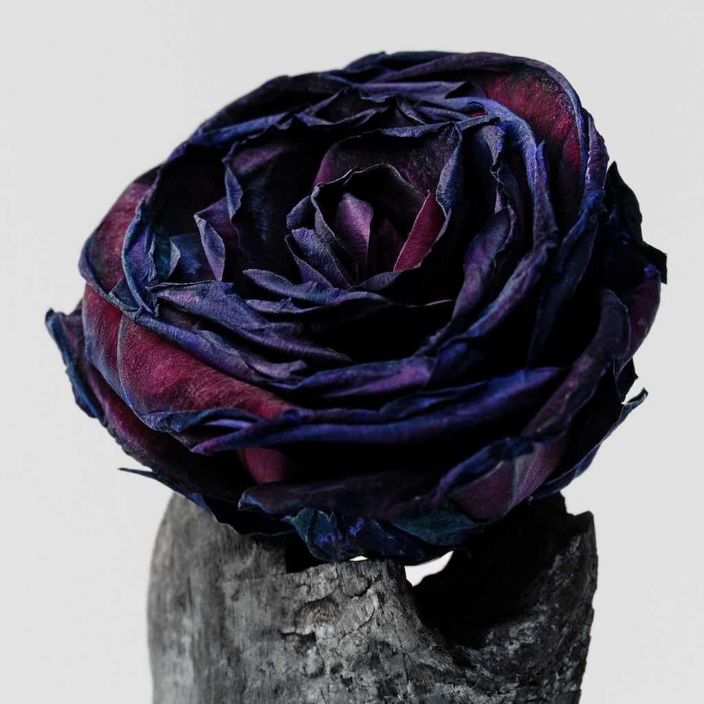 Body Mist - Black Rose & Oud 100ml