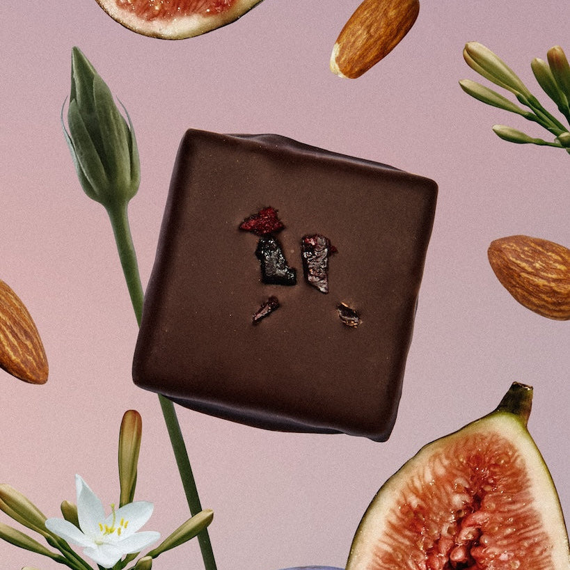 Dark Nut Butter Chocolate - Salty Fig & Roasted Almond