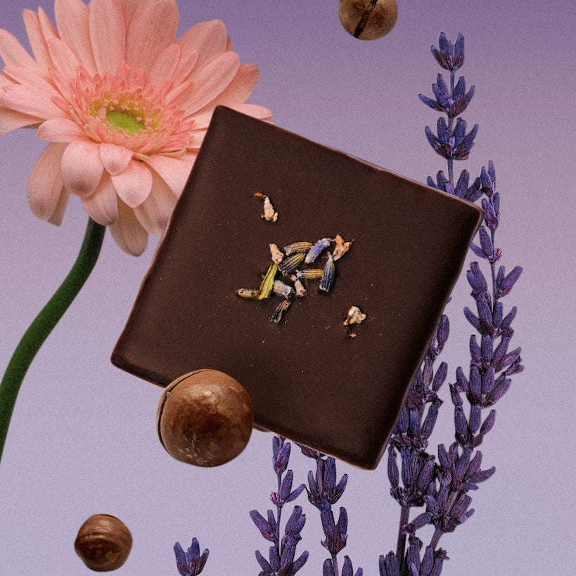 Box of 4 Chocolates - Wild Lavender & Macadamia