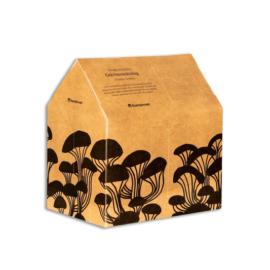 Svamphuset Grå Ostronskivling Growing Kit